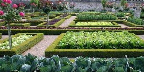 Kako je lijepo napraviti krevete u vrtu + fotografija